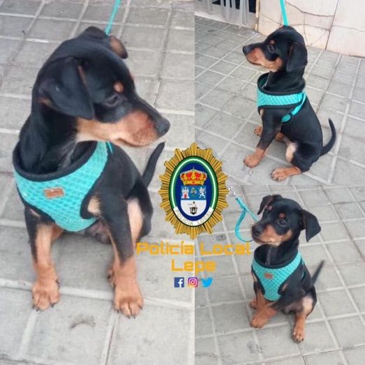 El runrún: El 1 de Mayo de Vox en Huelva