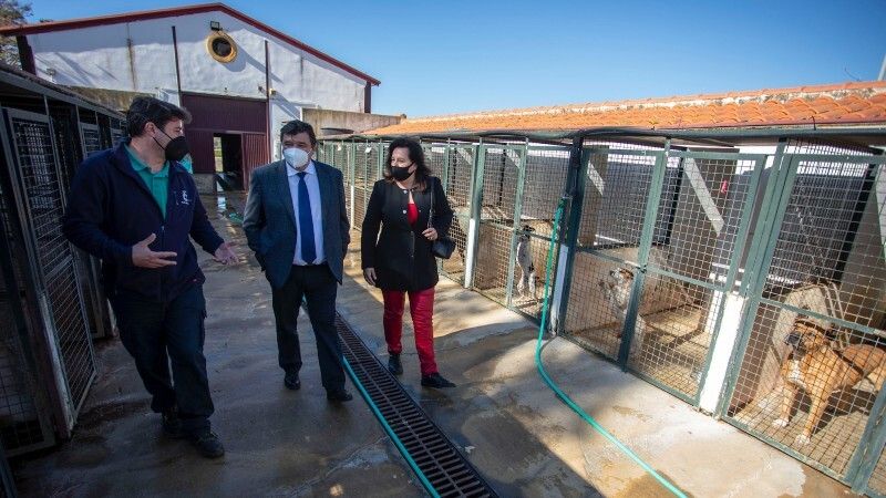 Un total de 20 perros, 12 gatos, dos caballos y un burro en el Centro Municipal de Acogida de Animales de Huelva