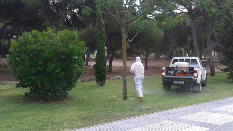 Punta Umbría inicia la campaña de control de mosquitos con medidas preventivas y correctoras
