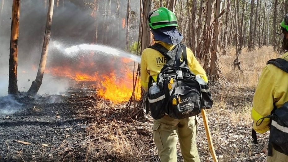 Cerca de 1.500 hectáreas de terreno forestal ardieron en 2022 en la provincia de Huelva