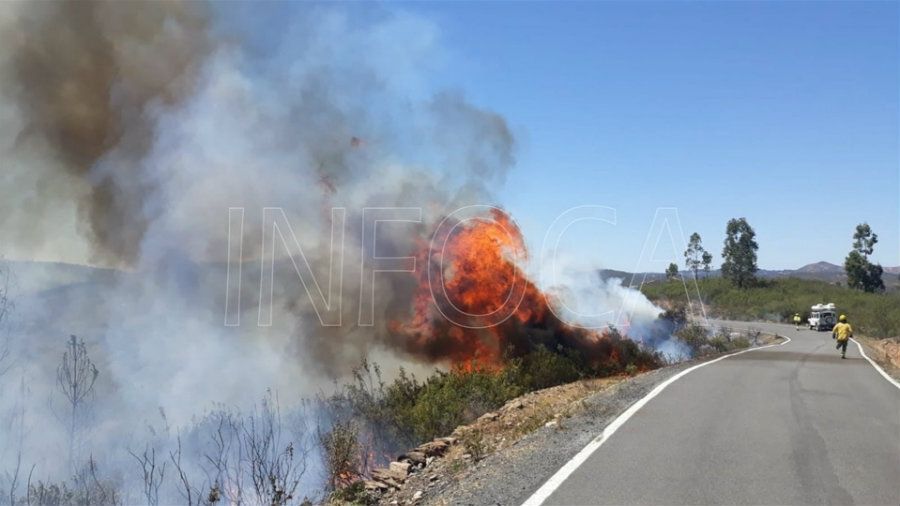 Extinguen un incendio forestal en el paraje 'El Pantano' de Berrocal