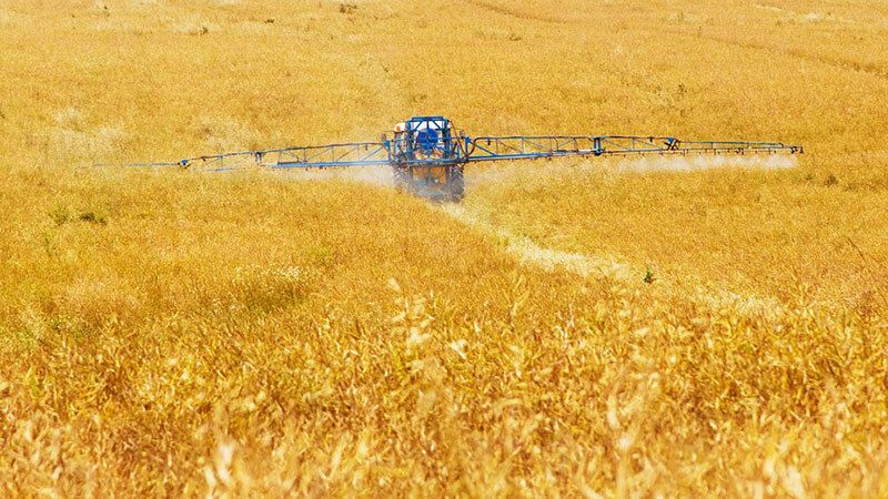 España, del uso intensivo de pesticidas a la innovación tecnológica en el agro