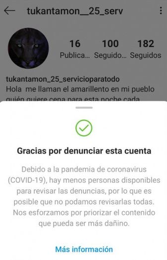 El runrún: El erótico enmascarado