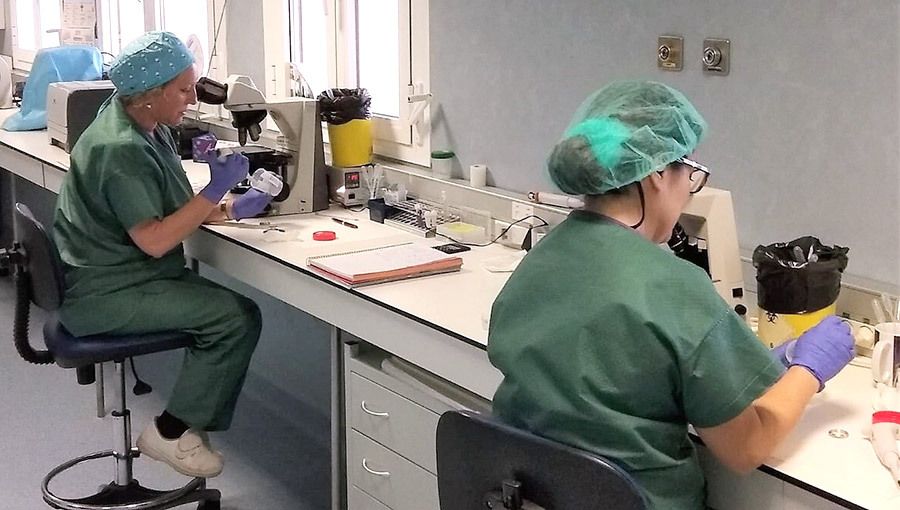 UGT también exige test por extracción venosa a sanitarios tras confirmarse 405 afectados en la provincia