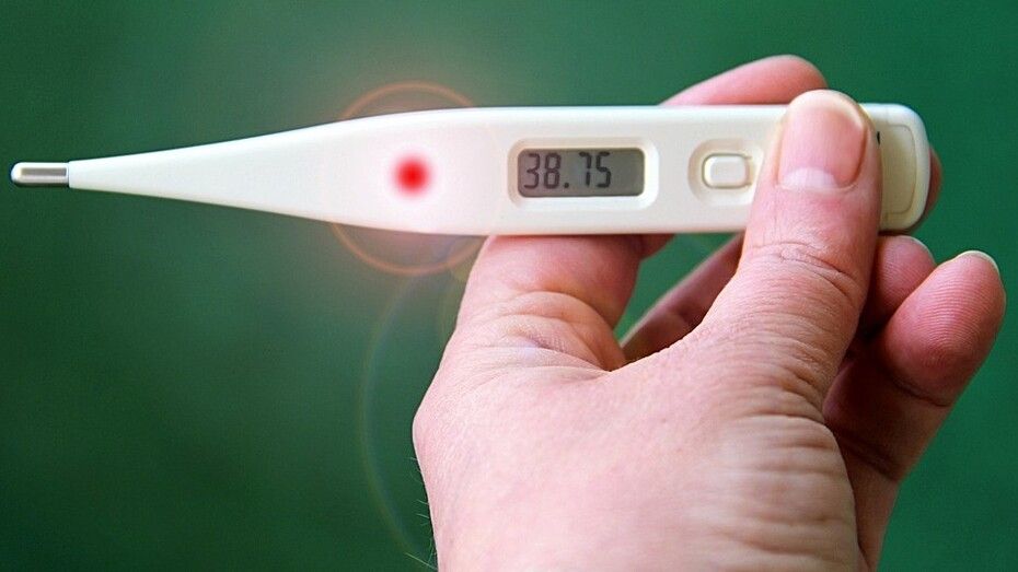 Te contamos por qué hay que estar atentos si el termómetro rebasa los 37 grados centígrados