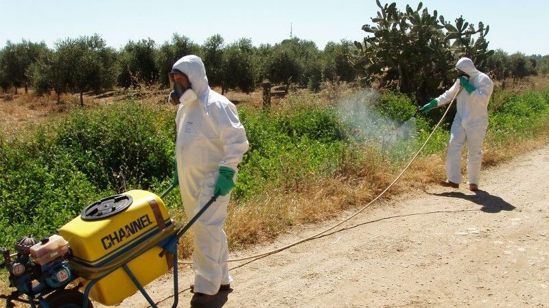 Doble campaña de control de mosquitos y cucarachas en Ayamonte