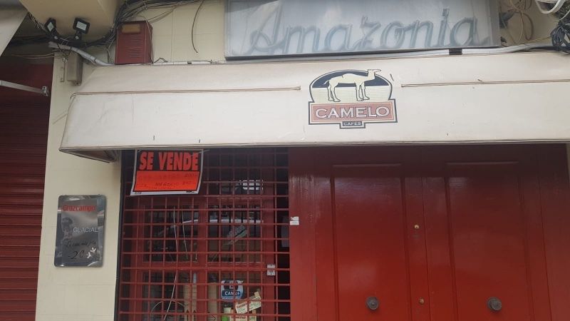 El runrún: No diga Sabina, diga Cayetano