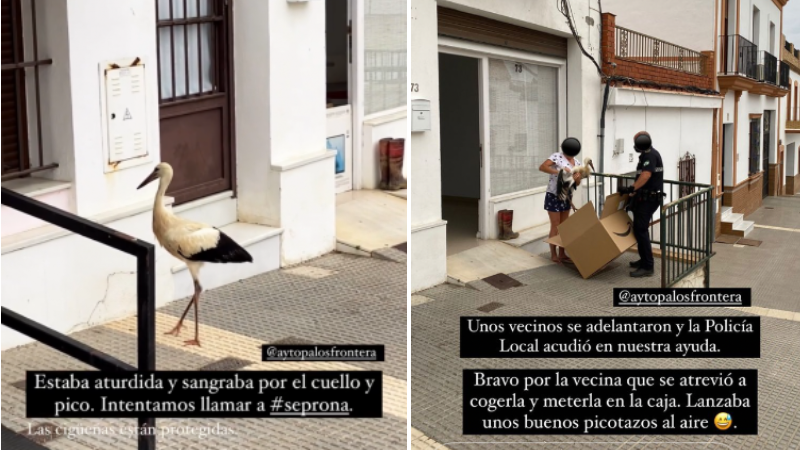 El runrún:  Punta Umbría, una orilla sin ley