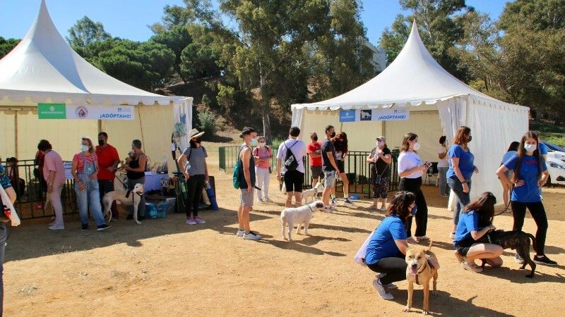 El Foro Iberoamericano acoge la Feria Provincial de adopción de animales ‘Huelva protege’