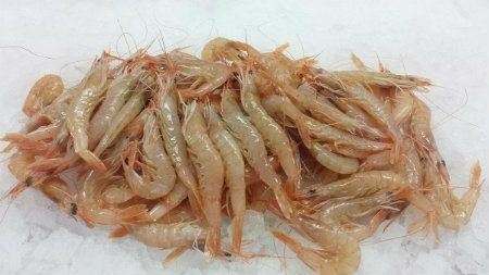 El partido que concurre a las Andaluzas y que quiere la DOP  para la gamba blanca, el choco y el boquerón de Huelva