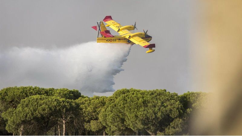 WWF tras cumplirse dos años del gravísimo incendio de Doñana: 'Queda el mayor reto, aplicar el plan de restauración'