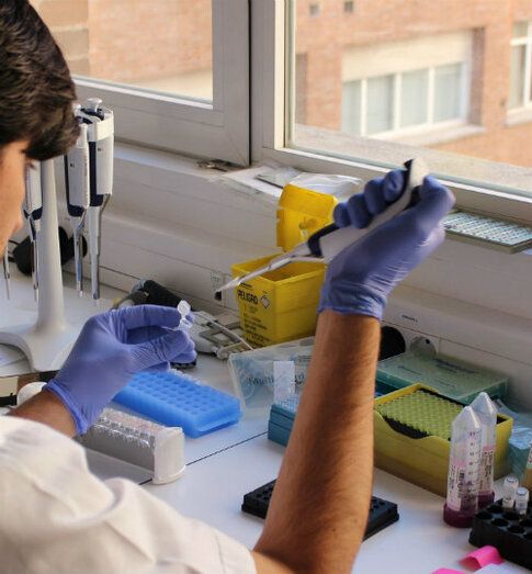 La orina es más importante de lo que pensamos