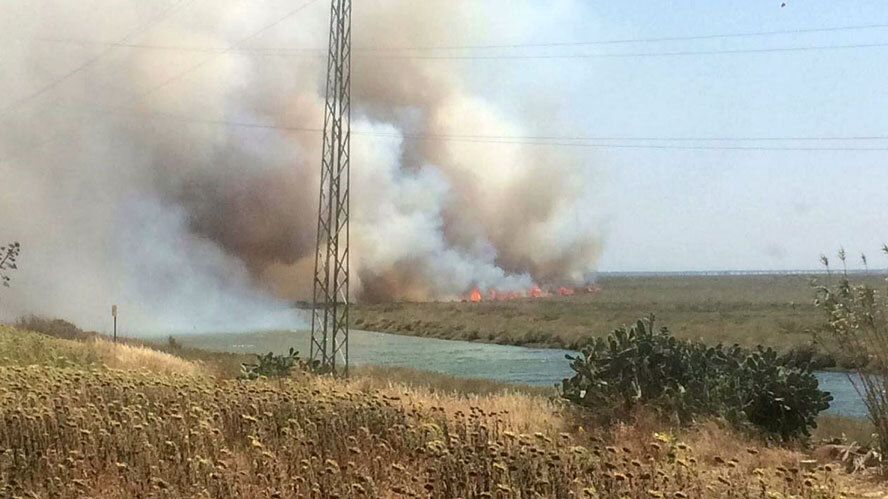 Declarado un incendio en el paraje El Burrillo de Gibraleón