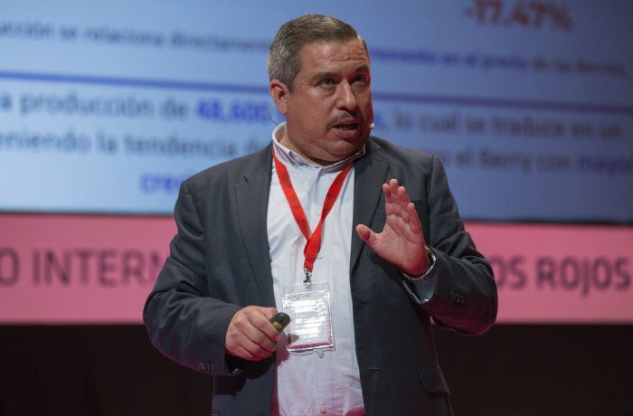 Propiedades nutricionales y el enorme potencial antioxidante de los frutos rojos como nuevos valores de venta