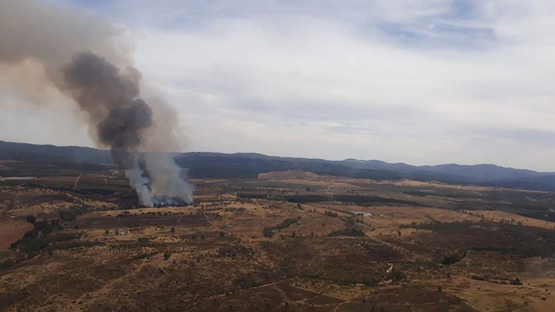 Declarado un incendio forestal en Cortegana