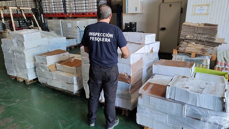 Más de 16 toneladas de productos pesqueros indebidamente obtenidos o comercializados se han incautado en lo que va de año