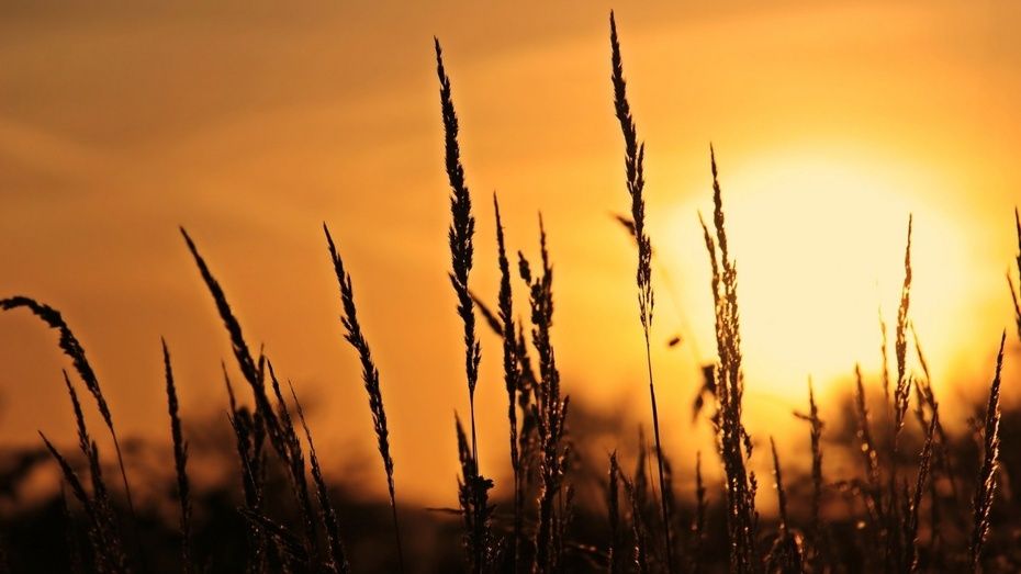 Se repite este martes el aviso amarillo en Huelva, con temperaturas de hasta 38 grados