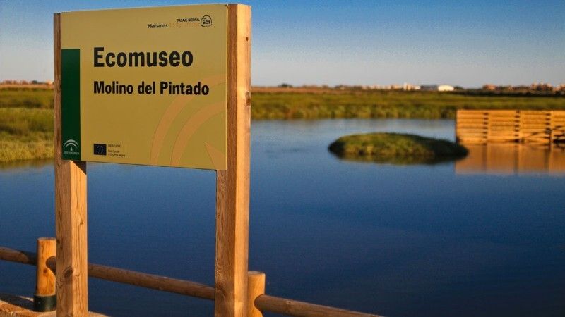Frustran la celebración de un botellón multitudinario en el entorno natural del Museo Molino del Pintado