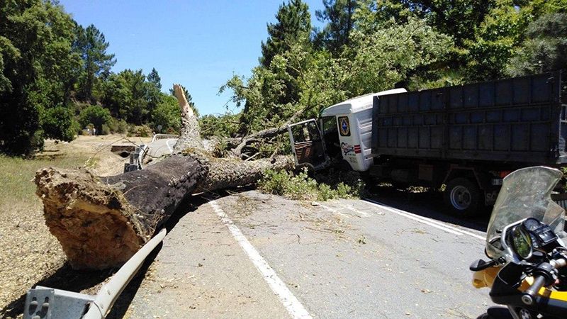 Susto en una carretera de la Sierra