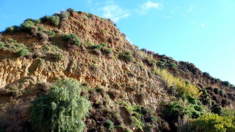 El Instituto Geológico y Minero Español insta al Ayuntamiento a la conservación del Cabezo Mondaca