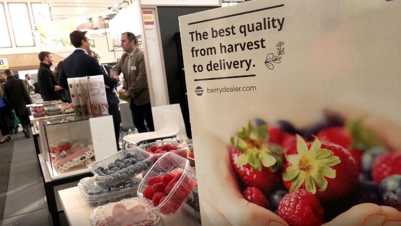 Huelva lidera las exportaciones nacionales de frutos rojos, con 428 millones de euros en ventas al exterior