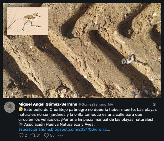 El runrún: Ocio y ecología, difícil coexistencia en El Espigón