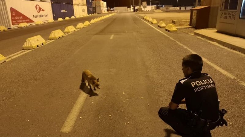El runrún: Dani Alejo arranca con los renglones torcidos