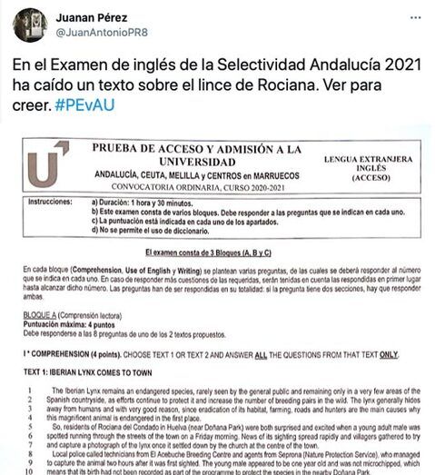 El runrún: La Selectividad pasó por Rociana