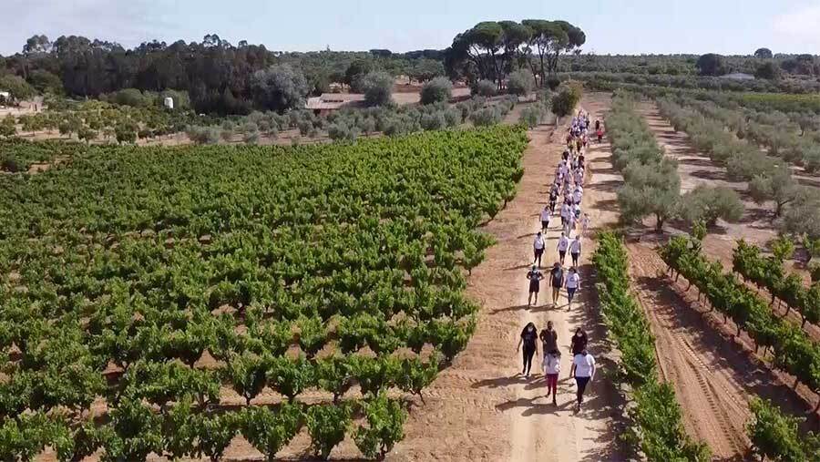 Bollullos se vuelca en una caminata benéfica contra la ELA