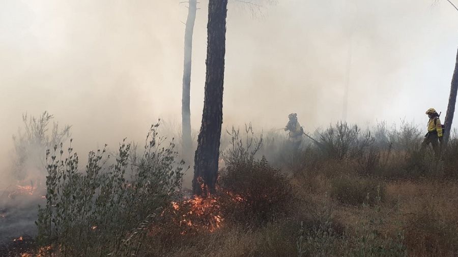 El Infoca extingue un incendio en Gibraleón y otro en Moguer