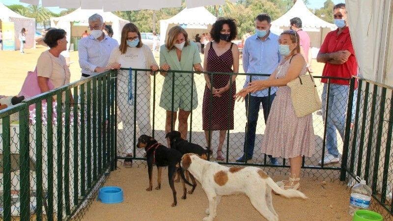 Gran acogida a la Feria de adopción de mascotas ‘Huelva Protege’ en el Foro Iberoamericano