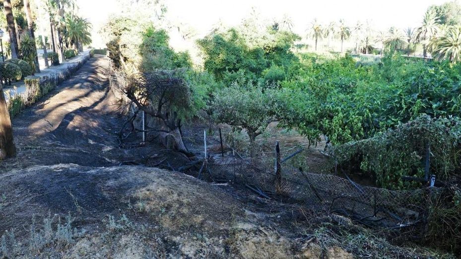 Un incendio calcina el huerto de los monjes franciscanos de La Rábida