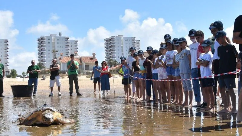 Bonanza, la tortuga rescatada por unos marineros de Punta Umbría, vuelve al mar