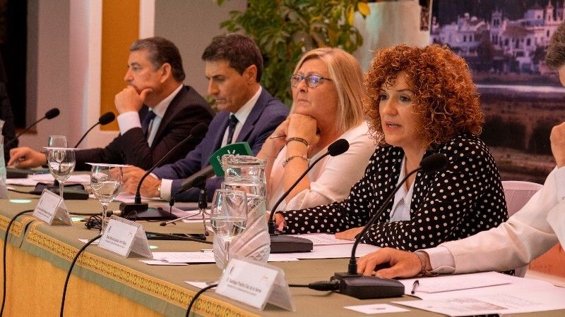 Activado el Plan Aldea para garantizar la seguridad con más de 1.600 efectivos en El Rocío