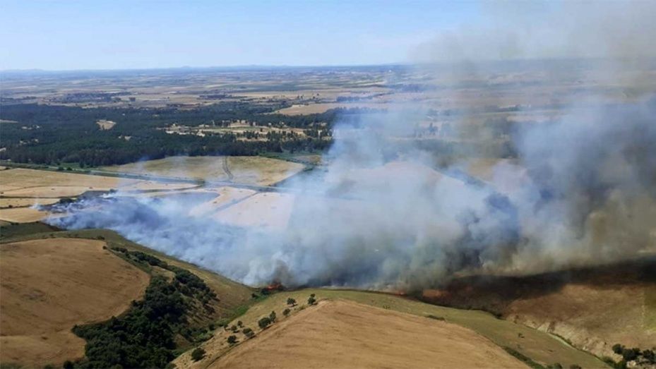 El Infoca trata de impedir que un incendio agrícola pase a forestal junto a Lucena del Puerto