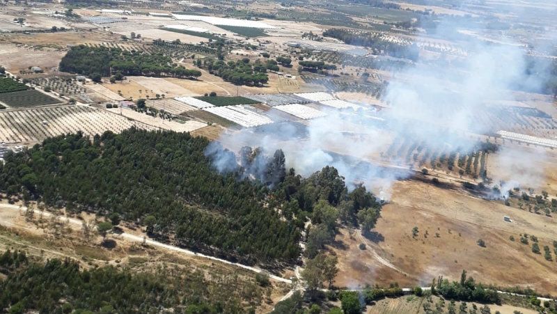 Extinguido un incendio forestal en un paraje próximo a la carretera del Rocío