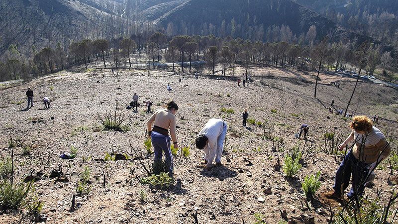 El negro legado del incendio de Riotinto