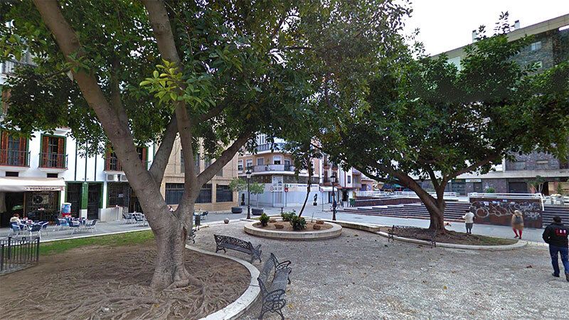 El PP critica al alcalde por 'no dar la cara' ante el rechazo a la tala de los ficus de la Plaza Niña