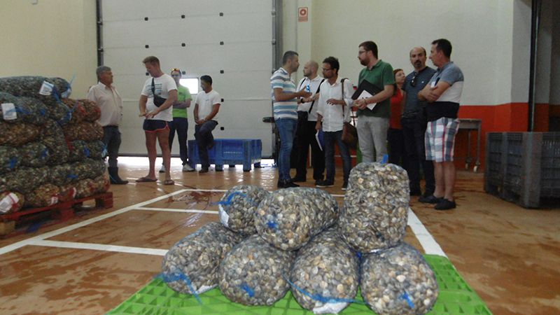 Adelante Huelva y Unidas Podemos reclaman más controles ante la pesca ilegal