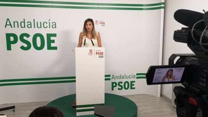 El PSOE critica al Gobierno andaluz por el recorte del 35,4% de las ayudas a familias