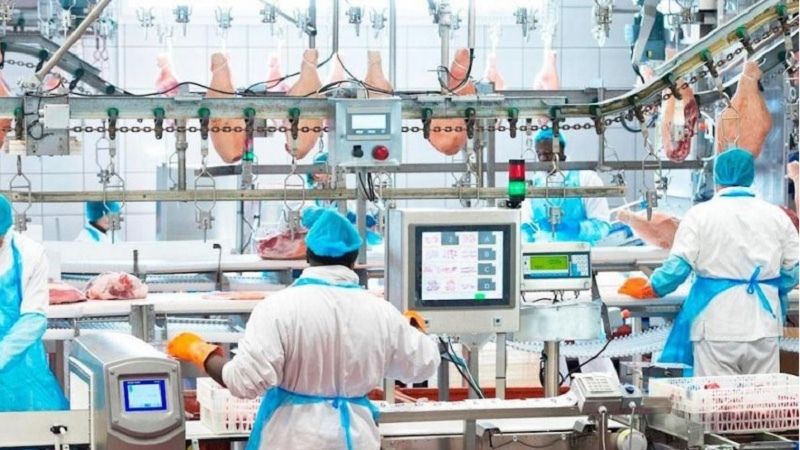 Covid silenciado en mataderos: Guissona, Litera Meat y Vall Companys en el foco