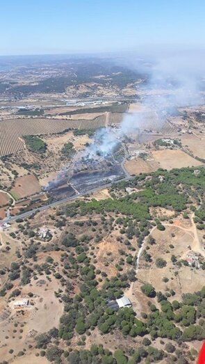 Controlan un incendio forestal declarado en un paraje de Ayamonte
