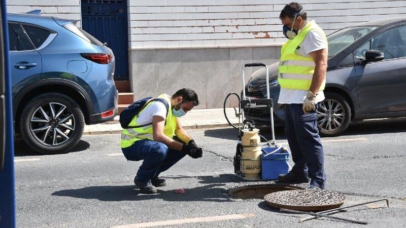 Plan de choque para el control de ratas y cucarachas en Punta Umbría y en El Portil