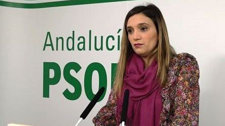 El PSOE ve 'inadmisible' que la Atención Primaria esté bloqueada por 'un problema informático'