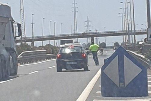 El runrún: Un caballo suelto la lía en Huelva