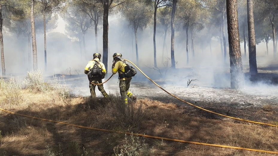 Se reactiva una parte del incendio de Almonte en una tarde cuyo objetivo es la 'estabilización'