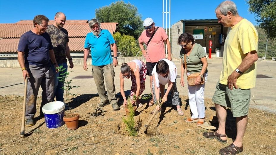 Berrocal sigue plantando árboles 18 años después del gran incendio forestal