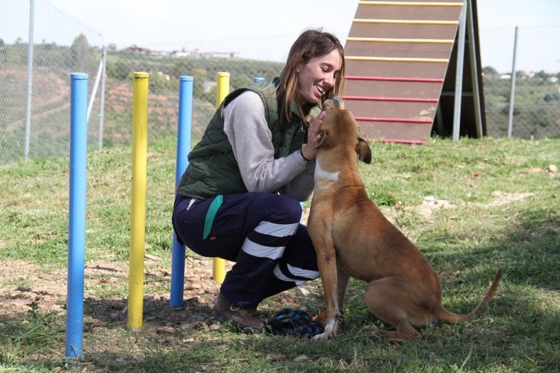 Convocan las subvenciones en materia de protección y bienestar de animales de compañía para 2022