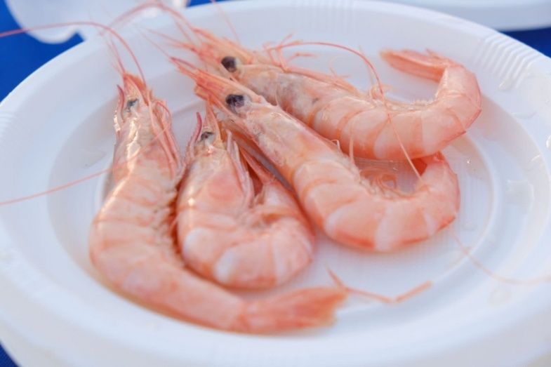 Degustación gratuita de gambas y pulpo en el puerto deportivo Marina Isla Canela