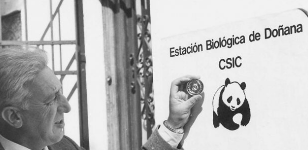 El runrún: ¿Pagar por usar la A-49?